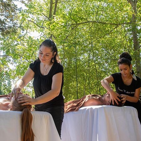 Hotel Mas Valentine Saint-Rémy-de-Provence Εξωτερικό φωτογραφία