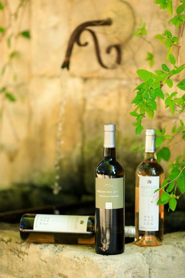 Hotel Mas Valentine Saint-Rémy-de-Provence Εξωτερικό φωτογραφία